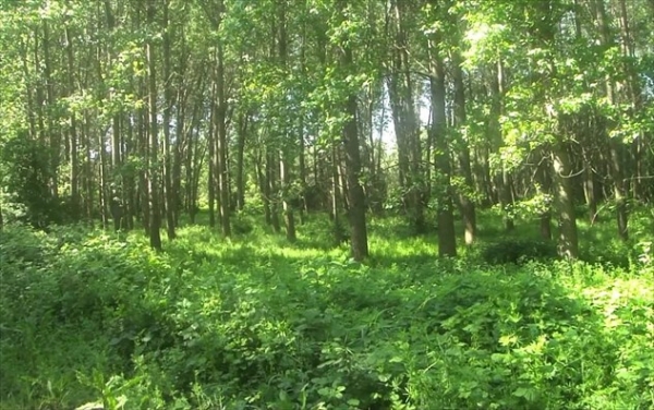 &Pi;&Rho;&Alpha;&Kappa;&Tau;&Iota;&Kappa;&Alpha; &Mu;&Alpha;&Theta;&Eta;&Mu;&Alpha;&Tau;&Alpha; &Omicron;&Iota;&Kappa;&Omicron;&Nu;&Omicron;&Mu;&Iota;&Alpha;&Sigma; &ndash; &Pi;&Alpha;&Rho;&Alpha;&Rho;&Tau;&Eta;&Mu;&Alpha;. &Sigma;&Chi;&Epsilon;&Tau;&Iota;&Kappa;&Alpha; &Mu;&Epsilon; &Tau;&Eta;&Nu; &Omicron;&Iota;&Kappa;&Omicron;&Nu;&Omicron;&Mu;&Iota;&Kappa;&Eta; &Epsilon;&Kappa;&Mu;&Epsilon;&Tau;&Alpha;&Lambda;&Lambda;&Epsilon;&Upsilon;&Sigma;&Eta; &Tau;&Eta;&Sigma; &Phi;&Upsilon;&Sigma;&Eta;&Sigma;.